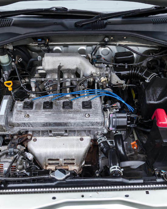 Interior motor vehículo